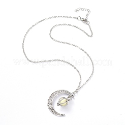 Halsketten mit Medaillon-Anhänger aus leuchtender Legierung&nbsp;NJEW-F284-05B