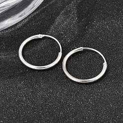 Orecchini a cerchio in ottone&nbsp;EJEW-G474-01S-02