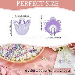 240 pz. 6 colori di perle finte acriliche verniciate a spruzzo&nbsp;MACR-OC0001-16
