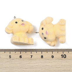 Pendentifs en résine floquée&nbsp;FIND-A052-06C