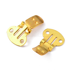 Flache leere Schuhclips aus Eisen&nbsp;IFIN-WH0072-01C-G