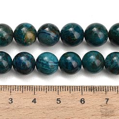 Natur Chrysokoll Perlen Stränge&nbsp;G-G475-A03-10mm