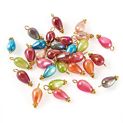 30 pendentif en coquillage d'eau douce naturel teint&nbsp;PALLOY-TAC0319