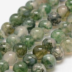 Chapelets de perles en agate mousse naturelle, ronde, 4mm, Trou: 0.5mm, Environ 93 pcs/chapelet, 14.56~14.76 pouce (37~37.5 cm)