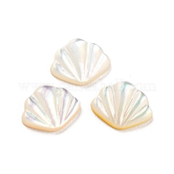 Cabochoni naturali di shell marini, forma a conchiglia, bianco, 7x8.5x2mm