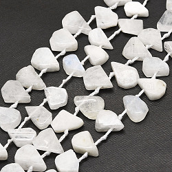 Brins de perles de pierre de lune arc-en-ciel naturel, larme, 12~20x5~15x3~7mm, Trou: 0.8mm, Environ 24 pcs/chapelet, 15.04'' (38.2 cm)