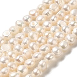 Fili di perle di perle d'acqua dolce coltivate naturali, due lati lucido, grado 3 un, papayawhip, 7~7.5x7~7.5x6~7mm, Foro: 0.5 mm, circa 49pcs/filo, 12.80~12.99 pollice (32.5~33 cm)