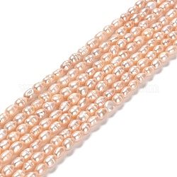 Fili di perle di perle d'acqua dolce coltivate naturali, riso, grado A +, peachpuff, 3~3.5x4.5~5.5mm, Foro: 0.5 mm, circa 70~71pcs/filo, 13.78'' (35 cm)