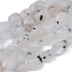 Brins de perles de pierre de lune arc-en-ciel naturel, pépites, pierre roulée, 8~10x8~9x5.5~6mm, Trou: 0.5mm, Environ 43 pcs/chapelet, 15.55 pouce (39.5 cm)