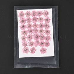 Gepresste Trockenblumen, für Handy, Fotorahmen, Scrapbooking DIY Handarbeit, rosa, 15~20x13~19 mm, 100 Stück / Beutel