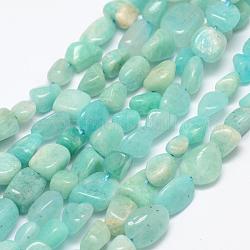 Chapelets de perles en amazonite naturelle, pierre roulée, pépites, 6~8x4~6mm, Trou: 1mm, 15.3 pouce (39 cm)