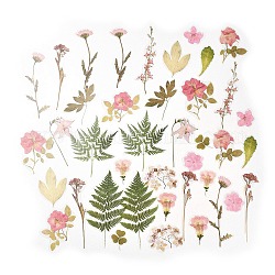植物ペット粘着防水ステッカー 40 個  花葉デカール  DIY フォトアルバム日記スクラップブック装飾用  ピンク  34~123x25~65x0.1mm