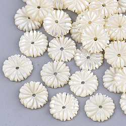 Perles de coquillage blanc naturel, fleur, couleur de coquillage, 10x2mm, Trou: 1mm