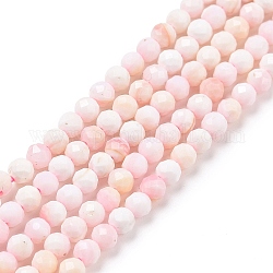 Perles en coquillage naturel, facette, ronde, 4mm, Trou: 0.7mm, Environ 93~94 pcs/chapelet, 15.35~15.55 pouce (39~39.5 cm)