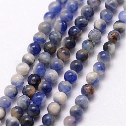 Sodalite naturale fili di perle, tondo, 3~3.5mm, Foro: 0.7 mm, circa 115~125pcs/filo, 16 pollice