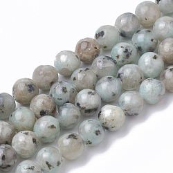 Natürliche Sesam Jaspis / Kiwi Jaspis Perlen Stränge, Runde, 8 mm, Bohrung: 1.5 mm, ca. 50 Stk. / Strang, 14.96 Zoll