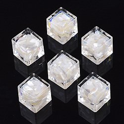 Transparent Acrylic Beads, with Shell, No Hole, Cube, White, 15x15x15mm