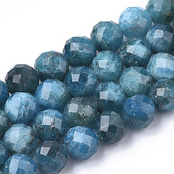Chapelets de perles en apatite naturelle, facette, ronde, 5.5~6x6mm, Trou: 1mm, Environ 29~32 pcs/chapelet, 7.48 pouce