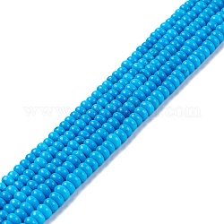 Brins de perles de magnésite naturelle, teinte, plat rond, Dodger bleu, 4.5x2.5mm, Trou: 0.7mm, 15.55~15.75 pouce (39.5~40 cm)