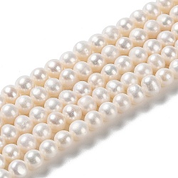 Hebras de perlas de agua dulce cultivadas naturales, patata, grado 4 un, PapayaWhip, 5~6x5.5~6mm, agujero: 0.5 mm, aproximamente 64 pcs / cadena, 14.37 pulgada (36.5 cm)