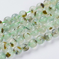 Perline Prehnite naturale fili, tondo, verde chiaro, 8mm, Foro: 1 mm