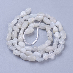 Naturelles perles pierre de lune blanc brins, pierre roulée, pépites, 5~11x4~6mm, Trou: 1mm, Environ 56~58 pcs/chapelet, 15.4 pouce (39 cm)