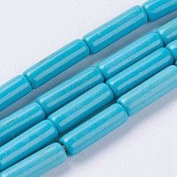 Chapelets de perles en turquoise synthétique, colonne, teints et chauffée, bleu profond du ciel, 12~13.5x3.5~4.5mm, Trou: 1.5mm, Environ 33 pcs/chapelet, environ 15 pouce