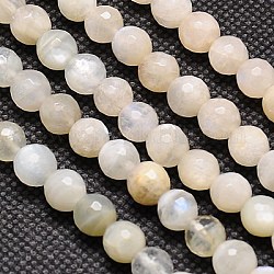 Натуральный белый лунный камень бисер пряди, граненые, круглые, навахо белый, 6 мм, отверстие : 1 мм, около 60 шт / нитка, 15.2 дюйм