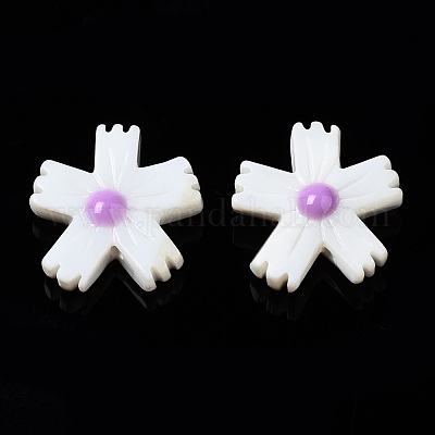 Perles de coquillages naturels d'eau douce&nbsp;SHEL-N003-19E-1
