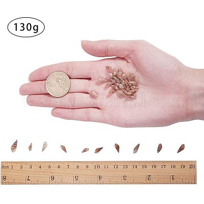 Wholesale PandaHall 200g 2 Styles Tiny Sea Shell Ocean Beach Spiral  Seashells Craft Charms for Candle Making Home Decoration Beach Theme Party  Wedding Decor Fish Tank and Vase Filler(1mm/1.2mm Hole) 