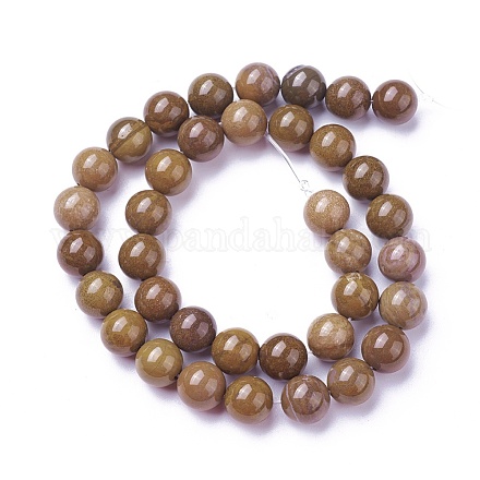 Natural Gemstone Beads Strands G-P424-D-10mm-1