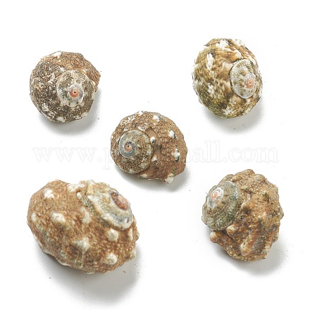 Perles en coquillage naturel BSHE-H015-03-1