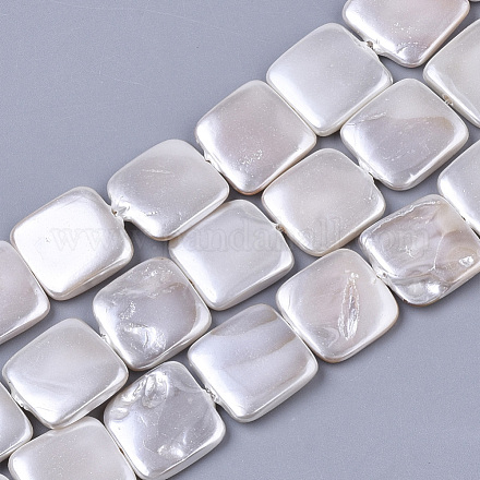 Shell Pearl Beads Strands X-SSHEL-T011-04A-1