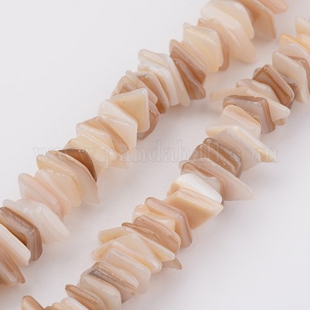 Chapelets de perles en coquillage naturel X-BSHE-P021-14-1