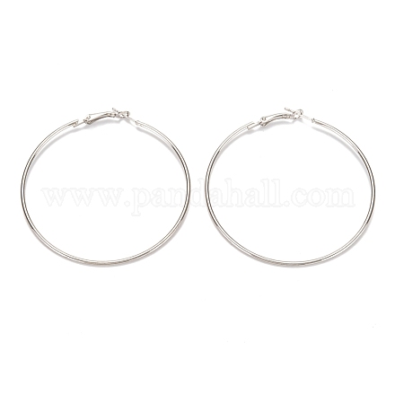 Iron Hoop Earrings IFIN-E070085-P-1