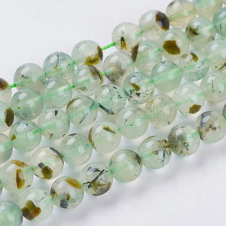 Chapelets de perles en préhnite naturelle G-G457-8mm-03-1