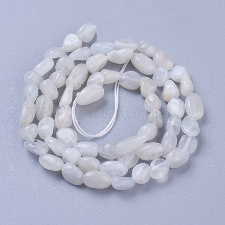 Natural White Moonstone Beads Strands G-P433-16-1