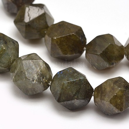 Faceted Natural Labradorite Gemstone Bead Strands G-J331-13-12mm-1
