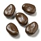 Opaque Resin Decoden Cabochons, Imitation Nut, Broad Bean, Coconut Brown, 17.5x12x9mm