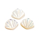 Natural Sea Shell Cabochons SHEL-D079-17-1