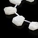 Natural Rainbow Moonstone Beads Strands G-Z040-A06-01-5