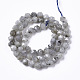 Natural Labradorite Beads Strands G-R465-33A-2