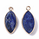 Natural Lapis Lazuli Pendants G-T131-07B-2