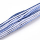 10かせ 6層ポリエステル刺繍フロス  クロスステッチの糸  セグメント染め  スチールブルー  0.5mm  約8.75ヤード（8m）/かせ OCOR-K006-A71-2