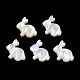 Perlas de concha blanca natural SSHEL-N032-60-2