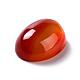 Oval Natural Carnelian Cabochons G-K020-20x15mm-05-4