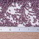 MIYUKI Delica Beads SEED-J020-DB0265-4