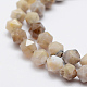 Natural Fossil Coral Beads Strands G-K209-02H-8mm-3
