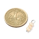 6 pièces 2 styles pendentifs de perles d'eau douce de culture naturelle PALLOY-JF02265-02-3