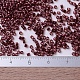MIYUKI Delica Beads SEED-X0054-DB0116-3